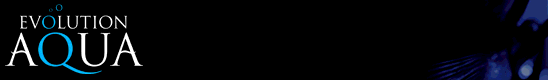 http://www.evolutionaqua.com