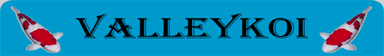 http://www.valleykoi.com