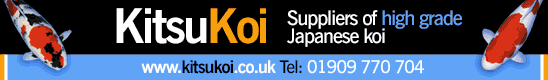 http://www.kitsukoi.co.uk